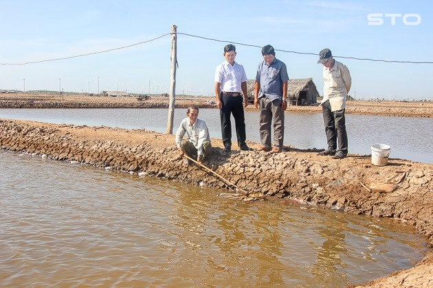 Rộ mùa Artemia ấm no