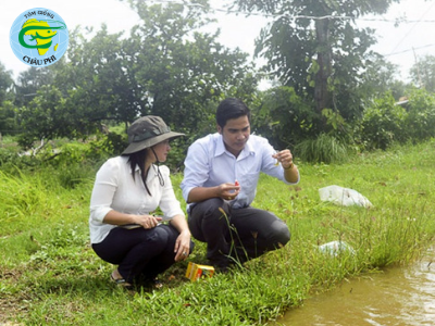 Sóc Trăng: Khuyến cáo phòng trị bệnh phân trắng trên tôm