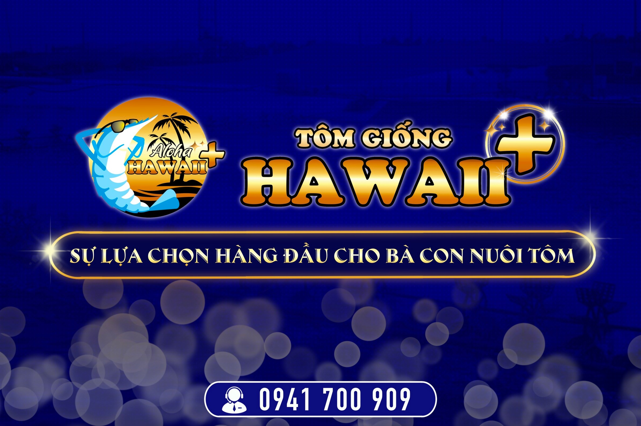 TÔM GIỐNG GIA HÓA HAWAII+_ LỰA CHỌN HÀNG ĐẦU CHO BÀ CON NUÔI TÔM