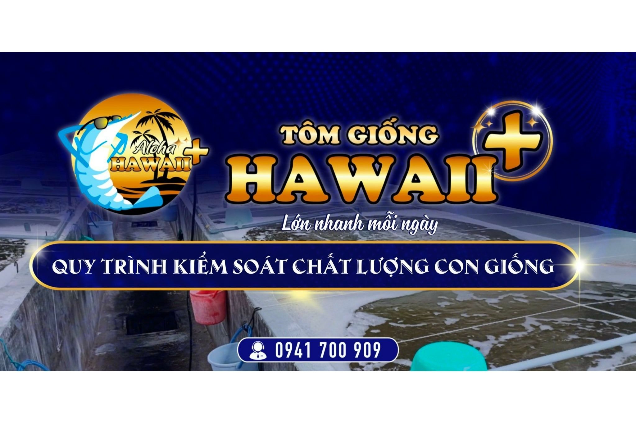 CẬN CẢNH ﻿TRẠI TÔM #TÔM_GIỐNG_GIA_HÓA_HAWAII+ VÀ QUY TRÌNH KIỂM SOÁT CHẤT LƯỢNG CON GIỐNG