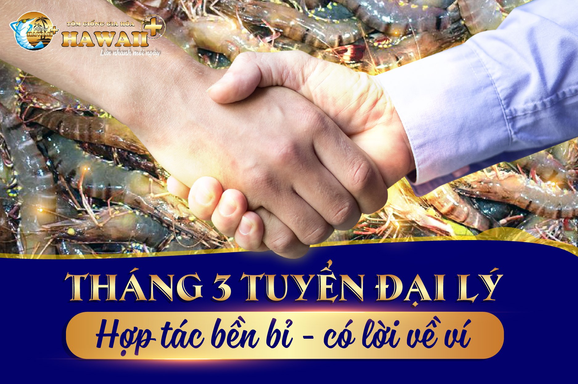 🔥TUYỂN ĐẠI LÝ THÁNG 3 ﻿🔥 HỢP TÁC BỀN BỈ - CÓ LỜI VỀ VÍ