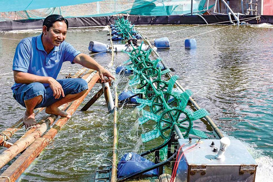 Cải tiến thiết bị, khắc phục tai nạn điện trong nuôi tôm