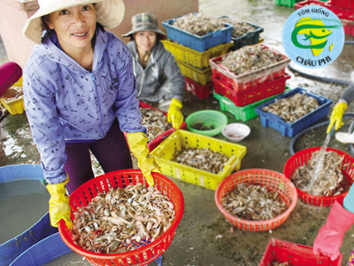 Những định hướng quan trọng của nghành tôm năm 2019