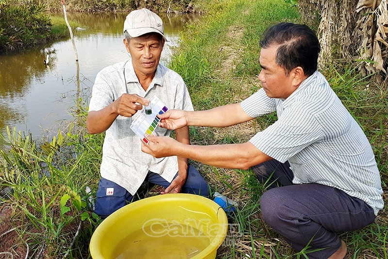 Kỳ vọng vụ tôm mới