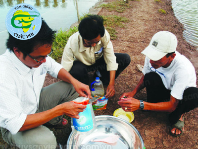 Tăng hiệu quả sử dụng men vi sinh