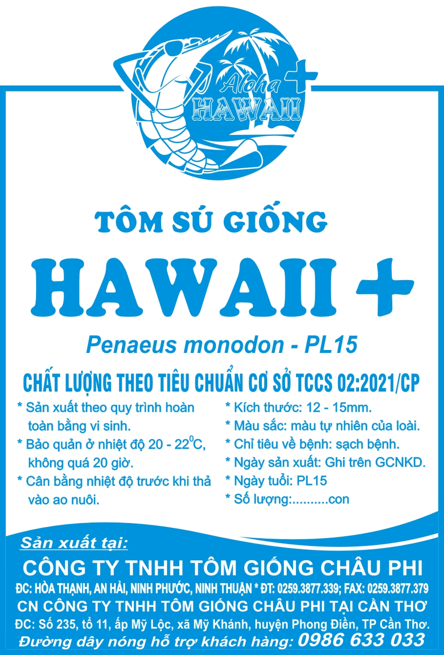 MÓN QUÀ TUYỆT VỜI CỦA THÁNG 3-SÚ GIỐNG HAWAII+ (SÚ GIA HÓA CAO CẤP)