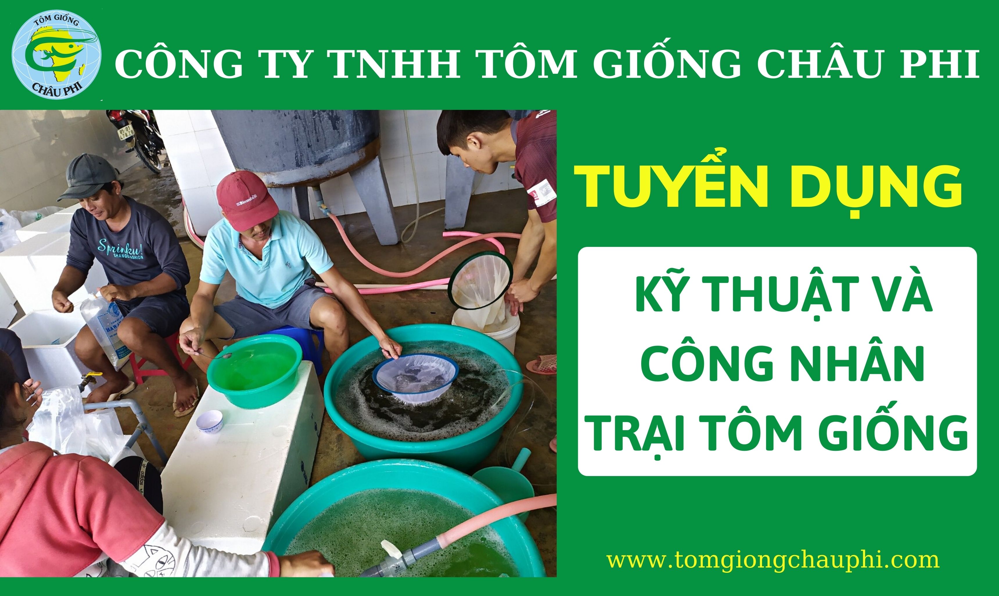 CÔNG TY CHÂU PHI TUYỂN KỸ THUẬT VÀ CÔNG NHÂN TRẠI TÔM GIỐNG