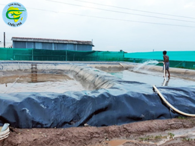 Xử lý nước thải nuôi tôm siêu thâm canh bằng biogas