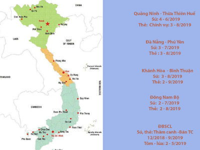 Thời vụ thả giống tôm 2019: Chủ động kiểm soát yếu tố môi trường