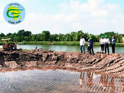 Khuyến cáo cho nuôi tôm nước lợ 2019 ở Sóc Trăng