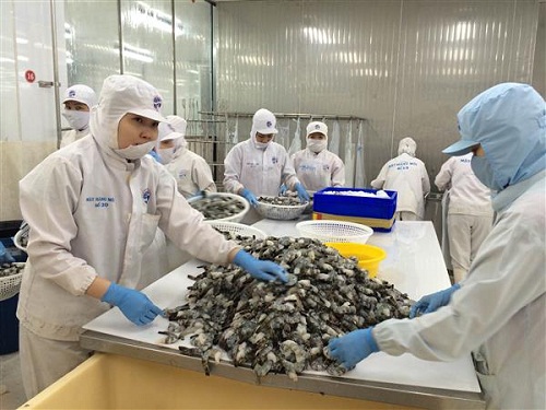 Kim ngạch xuất khẩu thủy sản tăng mạnh