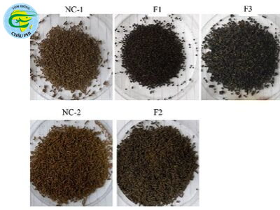 Tiềm năng thức ăn có chứa melanin bảo vệ tôm thẻ khỏi virus WSSV