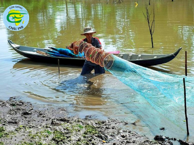 So sánh 2 mô hình nuôi kết hợp cua tôm lúa và cua tôm