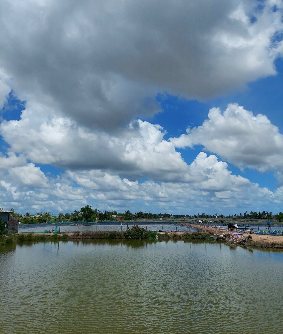 Kiên Giang: Ứng phó với mùa mưa bão trong nuôi trồng thủy sản