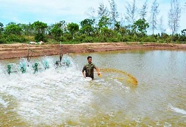 Nâng cao trách nhiệm bảo vệ môi trường trong nuôi trồng thủy sản