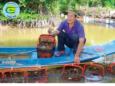 Nuôi tôm tít trong lồng nhựa, 2 tháng sau bán 200 ngàn/con