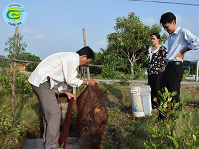 Hiệu quả nuôi tôm sú theo công nghệ Biofloc