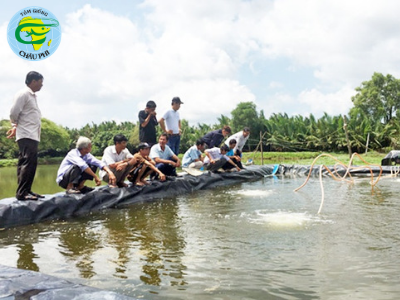 Nuôi tôm sú trên đất lúa 2 giai đoạn theo công nghệ biofloc