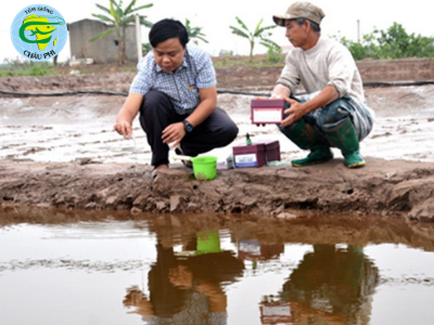 Chủ động quản lý môi trường và phòng bệnh cho tôm mùa nắng nóng