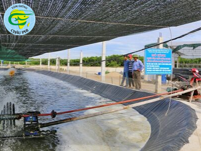 Sử dụng chế phẩm sinh học để phòng trị một số bệnh tôm