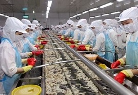 Thách thức xuất khẩu tôm sang thị trường Mỹ