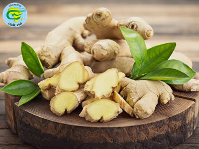 Thảo dược điều trị bệnh phân trắng ở tôm