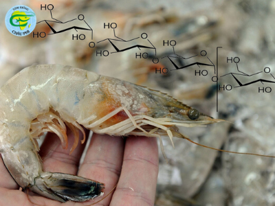 Polysaccharides trong quản lý bệnh thủy sản
