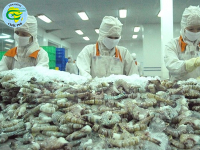 Xuất khẩu tôm sang Trung Quốc tăng trưởng 2 con số
