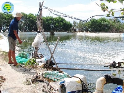 Phòng ngừa dịch bệnh tôm nuôi vụ mới: Cẩn trọng để ứng phó với thời tiết bất thường