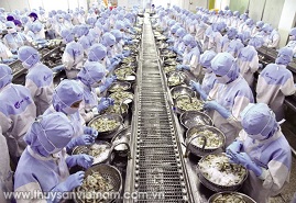 Tôm Việt: Giấc mơ số 1 thế giới