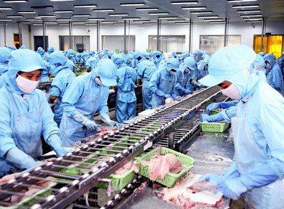 XK sang Nhật: Cần xây dựng lòng tin
