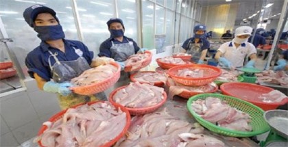 Xuất khẩu cá tra đứng vững trước nhiều tin xấu
