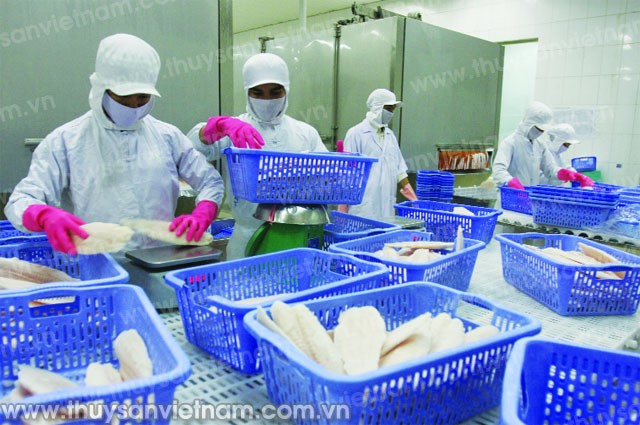 Xuất khẩu cá tra có thể phục hồi?