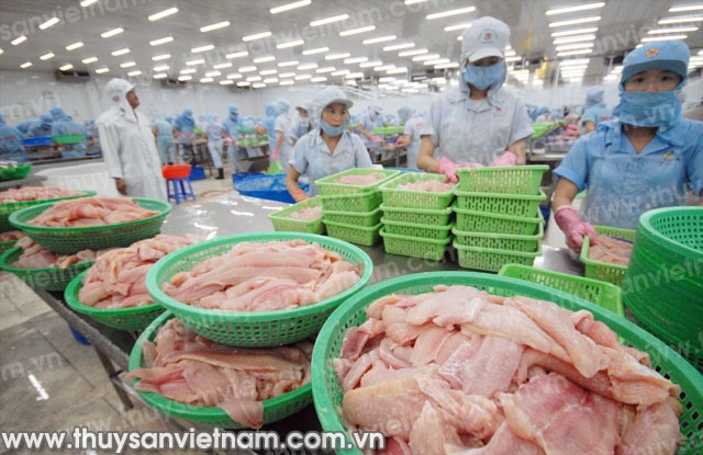 Xuất khẩu thủy sản chưa hết khó