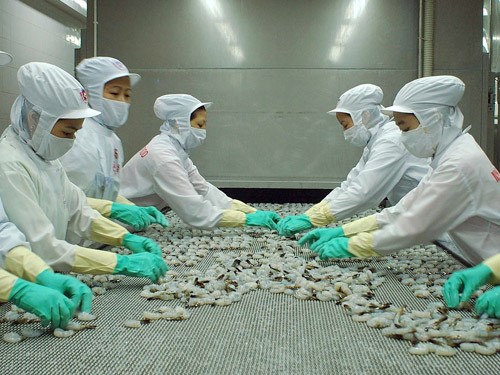 Xuất khẩu tôm: Kỳ vọng cao