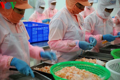Gần 5 tỷ USD kim ngạch xuất khẩu thủy sản trong 8 tháng