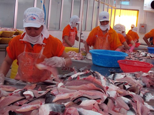 Xuất khẩu cá tra sang các thị trường nhỏ tăng trưởng khá