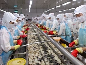 Dấu hiệu phục hồi của ngành tôm xuất khẩu Việt Nam