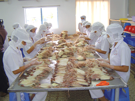 Xuất khẩu mực, bạch tuộc tăng 13,3%