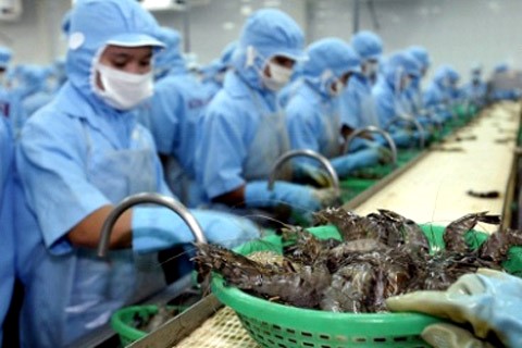 Xuất khẩu thủy sản vào thị trường Mỹ: Tôm “ngẩng cao đầu”, cá tra chật vật