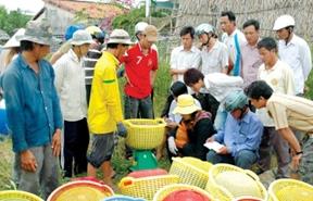 Cà Mau: Tôm – cua – cá đồng loạt rớt giá