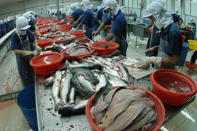 Cá tra khó vào thị trường Mỹ