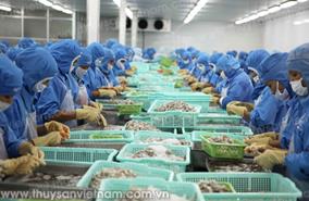 Xuất khẩu thủy sản giảm 25,6% trong tháng 1
