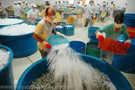 Cần Thơ: Hỗ trợ doanh nghiệp thủy sản đẩy mạnh xuất khẩu