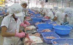 Xuất khẩu thủy sản sẽ lấy lại đà tăng trưởng giữa năm nay