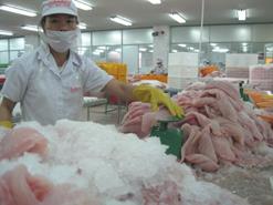 VN tăng xuất khẩu cá tra sang Trung Quốc, Hồng Kông