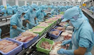 Xuất khẩu thủy sản gặp khó