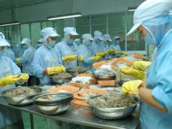Xuất khẩu tôm: “Ấm” lên vẫn lo