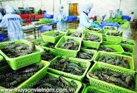 Vẫn rộng cửa xuất khẩu tôm