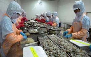 Xuất khẩu tôm sang EU tăng 6,4%